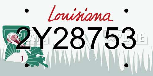 2Y28753 Louisiana License Plate