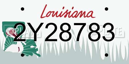2Y28783 Louisiana License Plate
