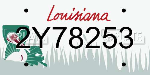2Y78253 Louisiana License Plate
