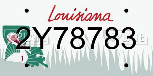 2Y78783 Louisiana License Plate