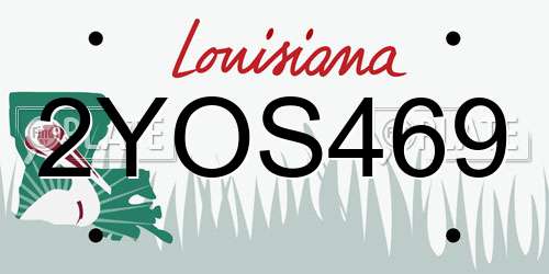 2YOS469 Louisiana License Plate