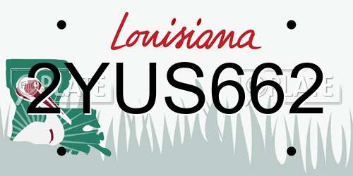 2YUS662 Louisiana License Plate