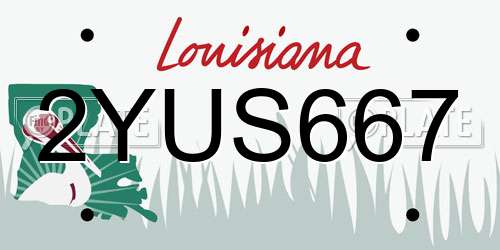 2YUS667 Louisiana License Plate