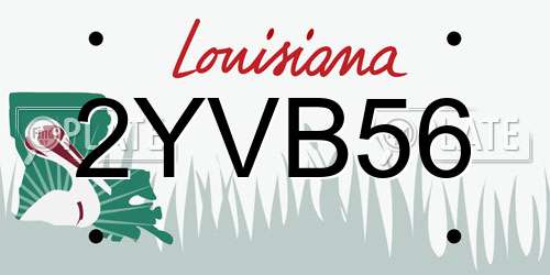 2YVB56 Louisiana License Plate