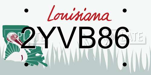 2YVB86 Louisiana License Plate