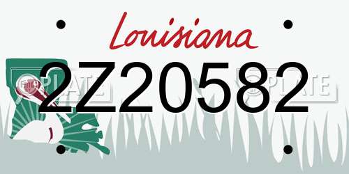 2Z20582 Louisiana License Plate