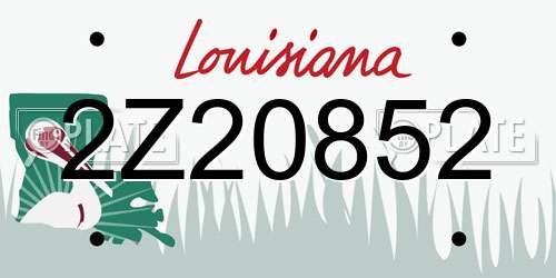 2Z20852 Louisiana License Plate