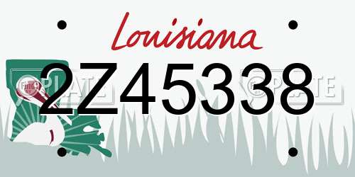 2Z45338 Louisiana License Plate