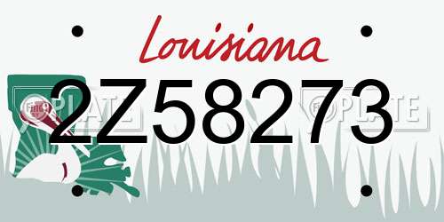 2Z58273 Louisiana License Plate