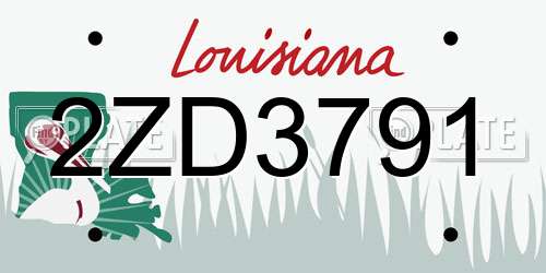 2ZD3791 Louisiana License Plate