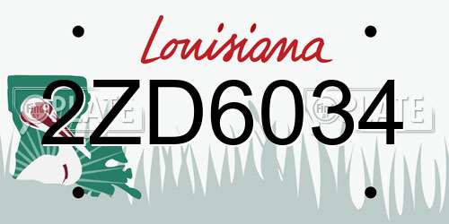 2ZD6034 Louisiana License Plate