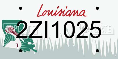 2ZI1025 Louisiana License Plate