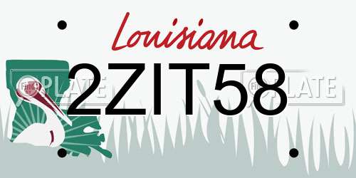 2ZIT58 Louisiana License Plate