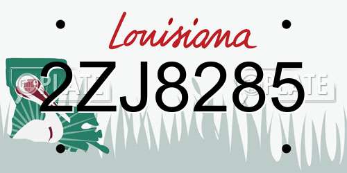 2ZJ8285 Louisiana License Plate