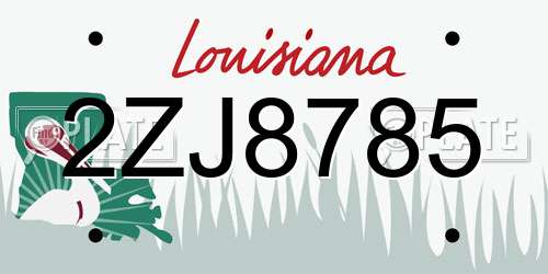 2ZJ8785 Louisiana License Plate