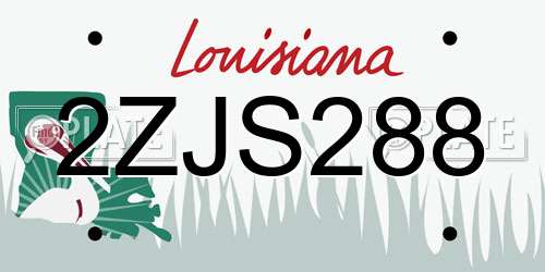2ZJS288 Louisiana License Plate