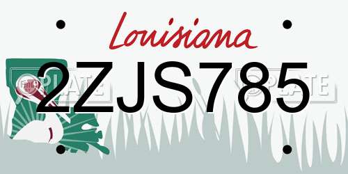 2ZJS785 Louisiana License Plate