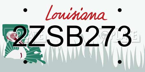 2ZSB273 Louisiana License Plate