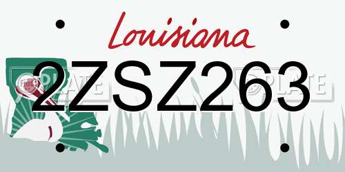 2ZSZ263 Louisiana License Plate