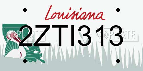 2ZTI313 Louisiana License Plate