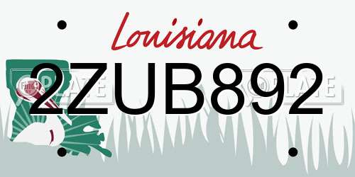 2ZUB892 Louisiana License Plate