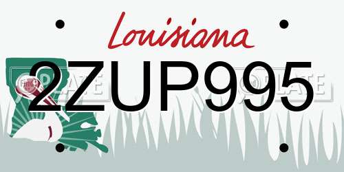 2ZUP995 Louisiana License Plate