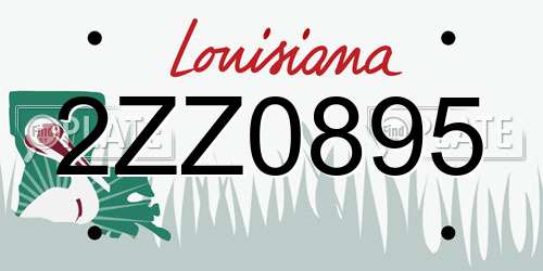 2ZZ0895 Louisiana License Plate
