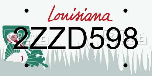 2ZZD598 Louisiana License Plate