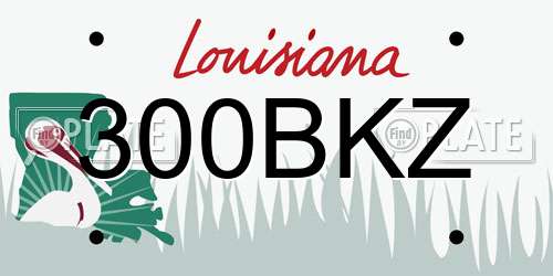 300BKZ Louisiana License Plate