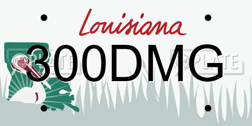 300DMG Louisiana License Plate