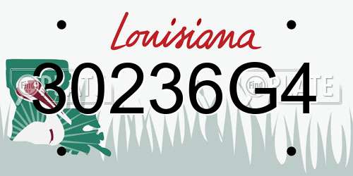 30236G4 Louisiana License Plate