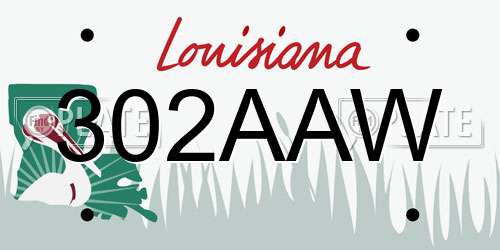 302AAW Louisiana License Plate