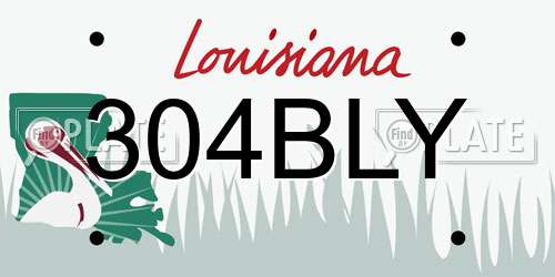 304BLY Louisiana License Plate