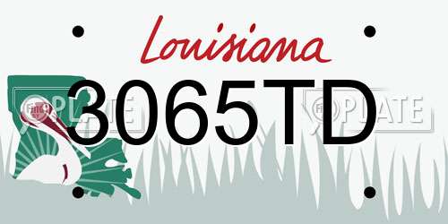 3065TD Louisiana License Plate