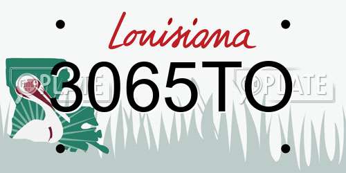 3065TO Louisiana License Plate