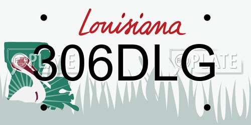 306DLG Louisiana License Plate