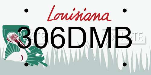 306DMB Louisiana License Plate
