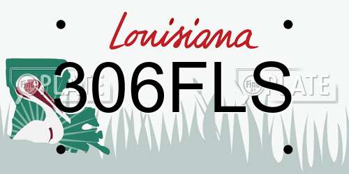 306FLS Louisiana License Plate