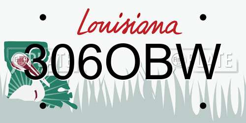 306OBW Louisiana License Plate