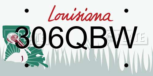 306QBW Louisiana License Plate