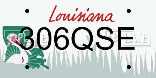 306QSE Louisiana License Plate
