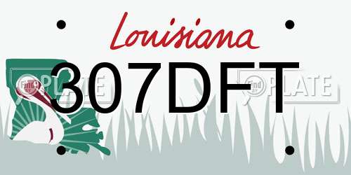 307DFT Louisiana License Plate