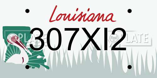 307XI2 Louisiana License Plate