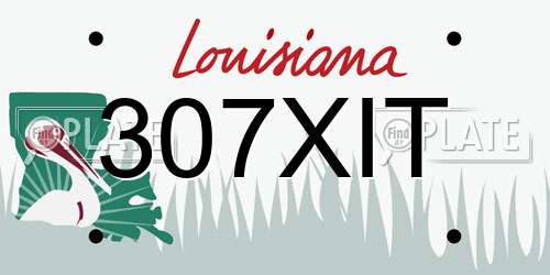 307XIT Louisiana License Plate