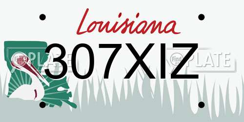 307XIZ Louisiana License Plate
