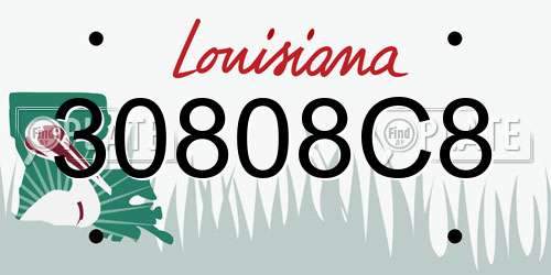 30808C8 Louisiana License Plate