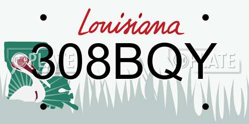308BQY Louisiana License Plate