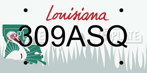 309ASQ Louisiana License Plate