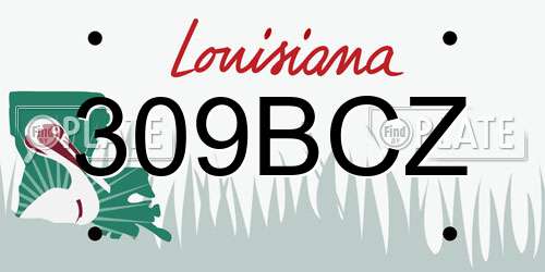 309BCZ Louisiana License Plate