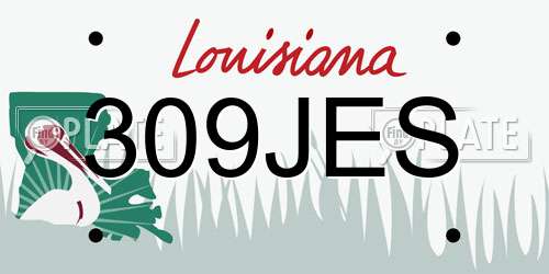 309JES Louisiana License Plate